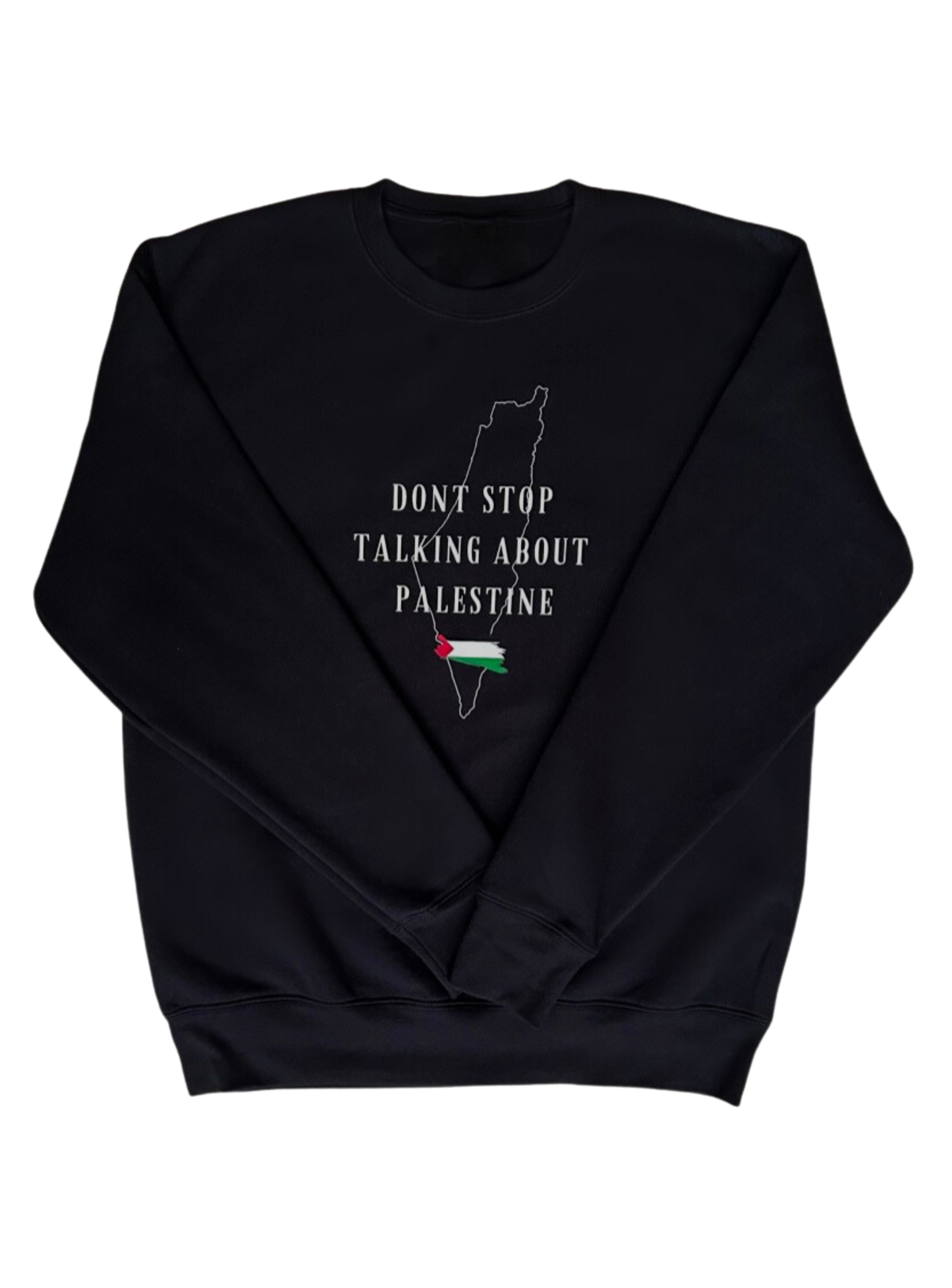 Sweatshirt- DONT STOP TALKING ABOUT PALESTINE